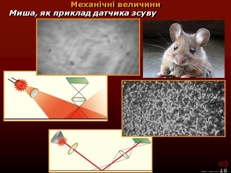 М.Кононов © 2009  E-mail: mvk@univ.kiev.ua 18  Механічні величини Миша, як приклад датчика